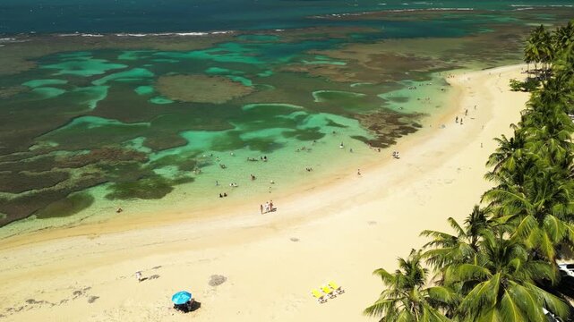 Drone aerial of Las Ballenas Beach with calm crystal clear water, tropical coastline, visible coral formations and people relaxing under bright sunny Caribbean weather.