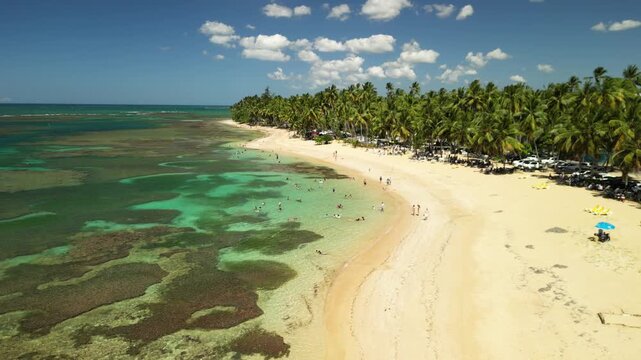 Drone footage of Las Ballenas coastline showing underwater coral structures, transparent calm sea, tropical palms and people enjoying Caribbean beach vacation.