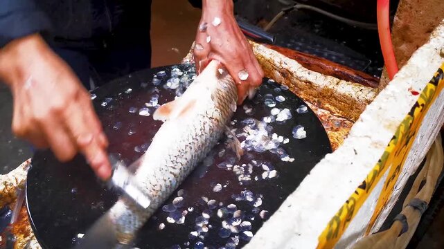 Fishmonger Cleaning Fresh Fish at Seafood Market