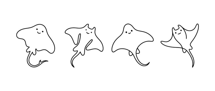 stingray cute monoline vector set collection