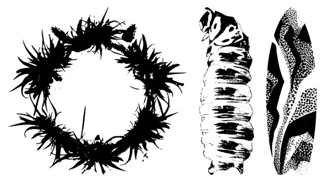 Raw ink splatter wreath frames segmented bug body &ldquo;spiky &rdquo; or &ldquo;chitin ring.&rdquo; Gritty halftone, stark black on white. For punk branding, tattoo flash, dark poster art.