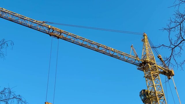 Crane arm against clear blue sky, yellow tower crane jib with hanging hook and cables, bare tree branches framing scene, bright