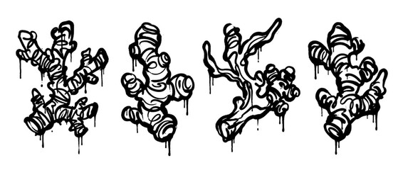 Obraz premium galangal , spray paint style , vector 
