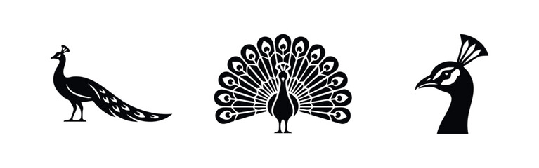 Set of three minimalist black peacock silhouettes featuring a profile, fanned tail, and head close-up. Elegant vector icons on white background.