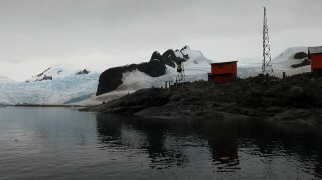 Colony of Gentoo penguins on rocky coast of Almirante Brown Antarctic research base in Paradise Bay, Antarctica