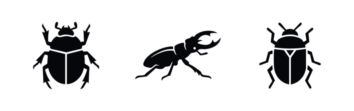 Set of three minimalist black beetle silhouettes, including a stag beetle and scarab, isolated on a white background. Ideal for nature icons and logos.