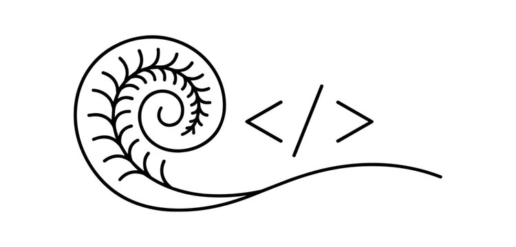 Koru spiral code icon. spiral fern, koru, nature, growth, curl, plant motif, coding, html brackets, developer, web. line vector illustration.