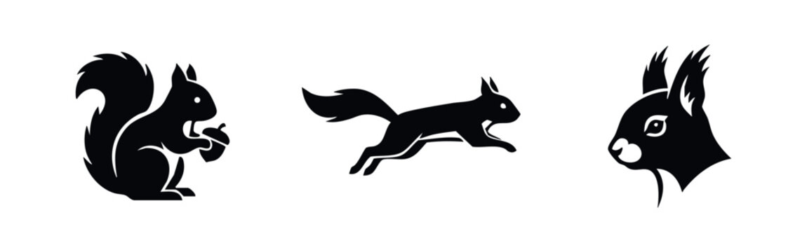 Three minimalist black squirrel icons featuring a sitting squirrel with an acorn, a jumping squirrel, and a profile head shot on a white background.