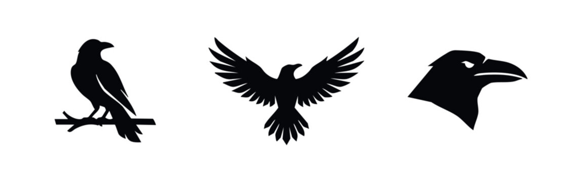 Minimalist set of three black raven silhouettes including a perched bird, a flying crow with spread wings, and a detailed head icon on white background.