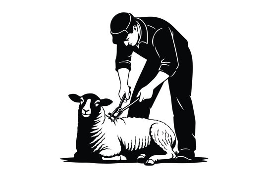 Farmer shearing a sheep with hand shears in a black and white illustration