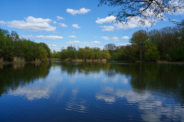 Fototapeta premium lake in the forest