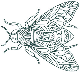 Decorative stylized fly insect line art illustration in zentangle style for adult coloring book © Parakhat
