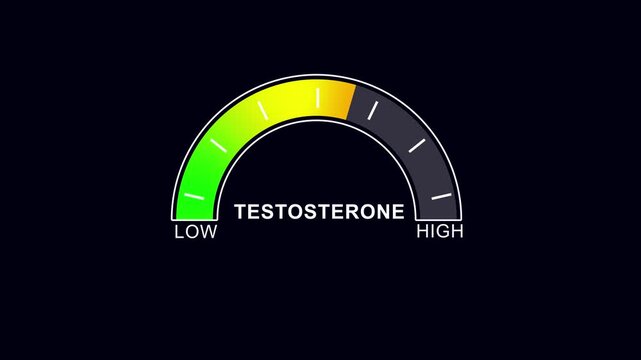Animated testosterone level gauge moving from low to healthy normal level, digital presentation, medical indicator, hormonal balance, health monitoring, concept...