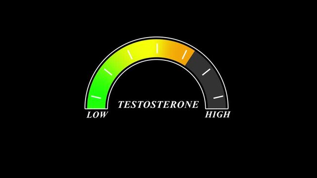 Animated testosterone level gauge moving from low to healthy normal level, digital presentation, medical indicator, hormonal balance, health monitoring, concept...