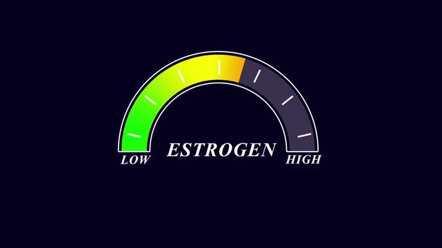Animated estrogen level gauge moving from low to healthy normal level, digital presentation, medical indicator, hormonal balance, health monitoring, concept...