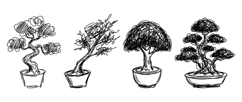 bonsai tree , pen scribble , kid Hand drawn , vector