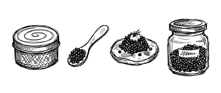 caviar , pen scribble , kid Hand drawn , vector