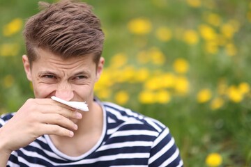 Fototapeta premium Man with paper tissue suffering from seasonal pollen allergy among dandelions on spring day, space for text