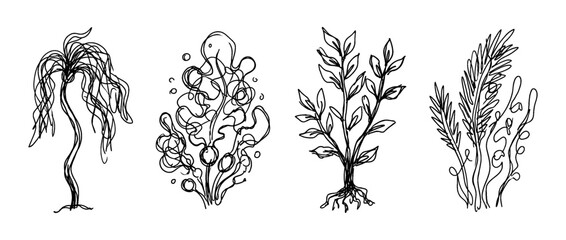 Fototapeta premium kelp , pen scribble , kid Hand drawn , vector