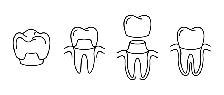 A series of lineart illustrations focusing on dental anatomy, highlighting the structure and complexity of teeth for educational purposes in a minimalist style.