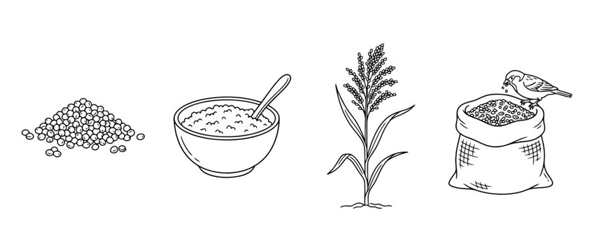 An artistic black lineart representation of grains, seeds, and their processed forms, celebrating the origins and essential nature of these staples in nutrition.