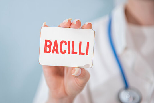 Healthcare and medical concept with text bacilli