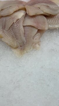 Zander fillet on shallow ice display close-up showing thawed pale flesh and scale pattern, glistening ice crystals, moist texture