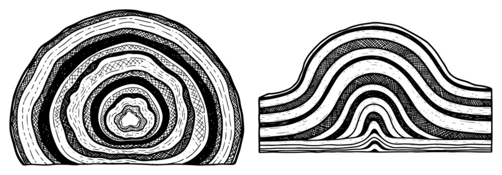 Geological rock layers and concentric cross section patterns in hand drawn engraving style