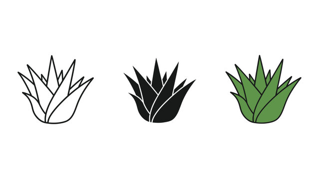 three stylized agave plants flat design vector illustration