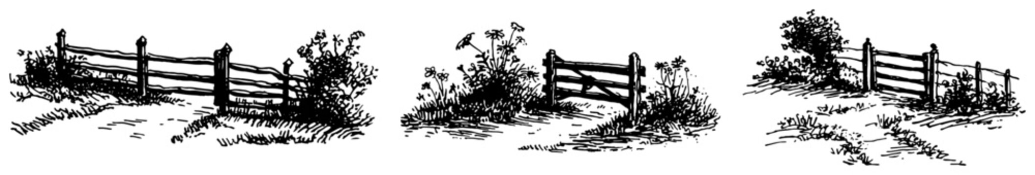 Rustic wooden fence sections and garden gates in vintage hand drawn engraving style