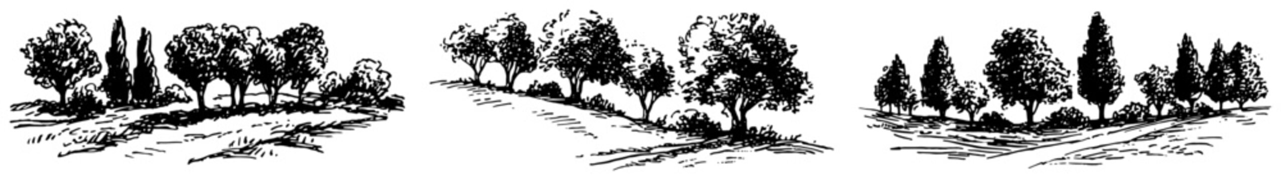 Mediterranean landscape with cypress and olive trees in vintage sketch style