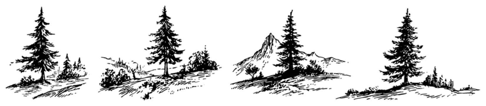 Pine trees in mountain landscape with forest hills in vintage sketch style