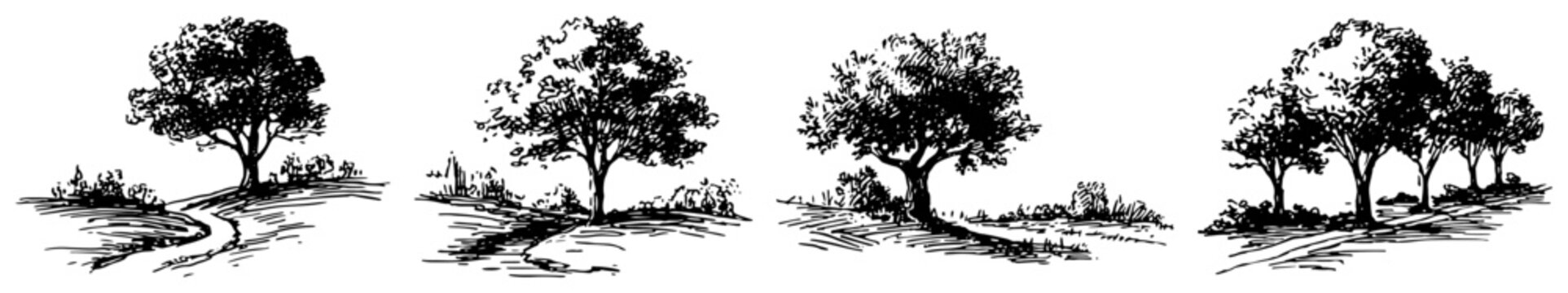 Leafy deciduous trees in rural countryside landscape in vintage sketch style