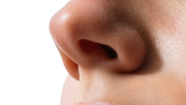 Isolated extreme close-up side view of a human nose showing detailed skin texture, pores, and fine hair