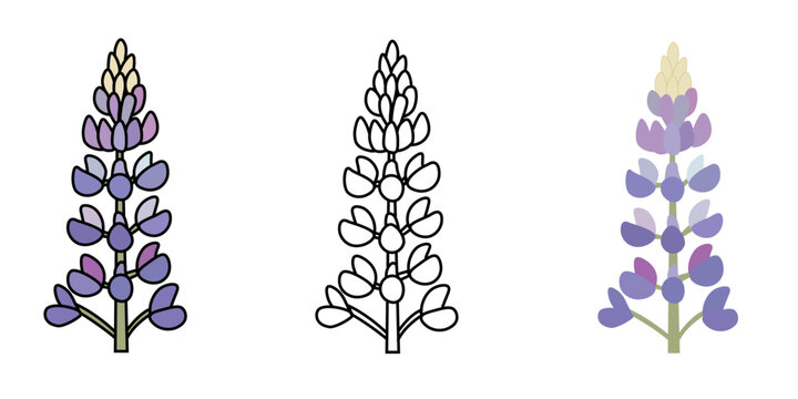 ルピナスの花のベクターイラストセット