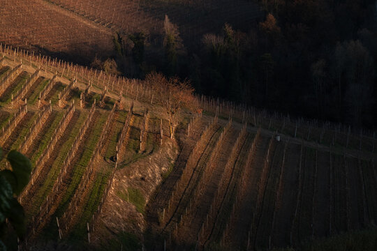 The vineyard hills of the Piedmontese Langhe of Serralunga d'Alba