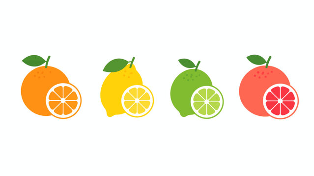 A collection of assorted citrus fruits, including orange, lemon, lime, and grapefruit, each with a sliced cross-section