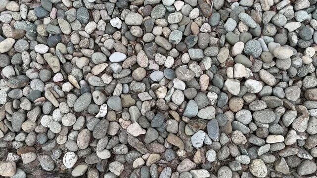 Close-up small stone pebbles on footpath showing neutral gray beige tones, coarse aggregate texture, tight crop, overhead