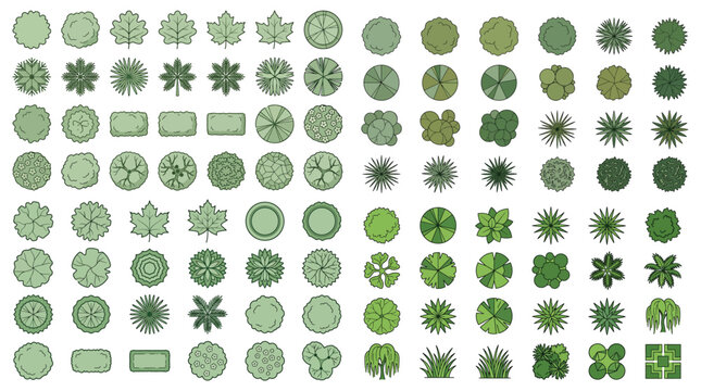 Landscape Architecture Tree Symbols Top View - Vector Plan View Icons for Site Planning, Garden Design, and Architectural Mapping