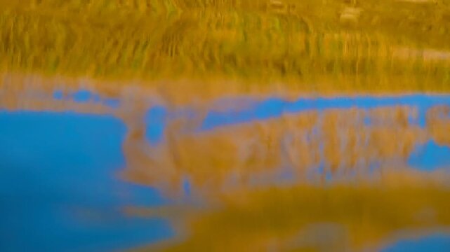 Vivid abstract water reflection with wind ripples, colorful silent background footage