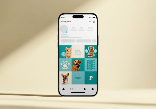 Front View Smartphone Window Shadow Mockup