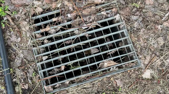 Iron grate over drainage with leaves closeup view of rusted metal grid covering storm drain, trapped leaf litter and soil, faint