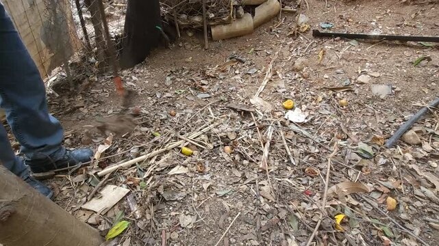 Gardener using a leaf rake to clean the backyard