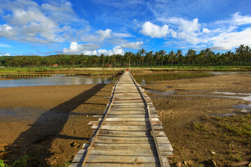 Fototapeta premium Wooden path leads through shallow waters. Sky bright with clouds above. Tropical palms frame the horizon. Foothills stretch beyond the wetland. Nature's quiet path invites exploration.