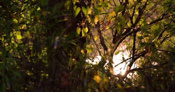 Beautiful nature scenery with water reflecting 4k
