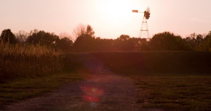 Sunset on farm with bugs flying in sun 4k
