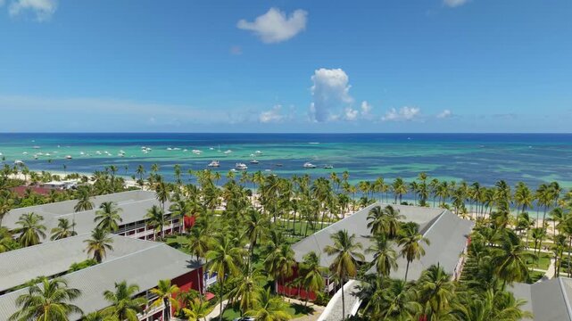 aerial view of beach and coconuts punta cana, Dominican Republic