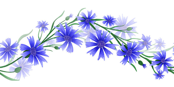 A seamless wavy border with watercolor blue meadow cornflowers. The hand drawn illustration in a simple style for children's clothing, wedding prints and birthday cards.