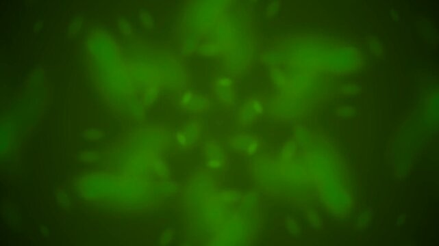 Abstract green and yellow background with dynamic shapes and patterns artistic design.