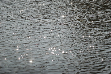 Refflactions on the water glade  © oleg